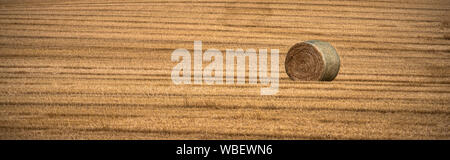 Weitwinkel Banner, single Heu Ballen im goldenen Feld. Stockfoto