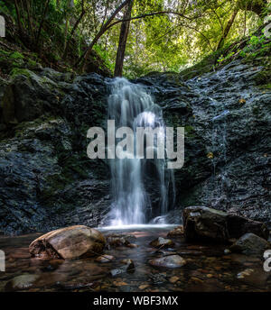 Kühlen und schattigen Oberen fällt bei Uvas Canyon County Park in Kalifornien Stockfoto