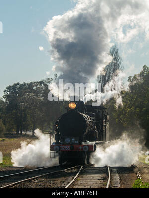 Restaurierten Dampfzug auf Schienen durch Wolken von Dampf bei Thirlmere Railway Museum NSW Australien umgeben Stockfoto