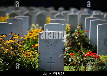 Grabsteine von britischen, neuseeländischen, australischen und südafrikanischen Militär, während des Zweiten Weltkrieges an der Krakauer militärischen Commonwealth Abschnitt der Friedhof Rakowicki gefallen. Das Grab Service der Britischen Armee des Rheins versammelten Commonwealth Gräber aus ganz Polen in drei Friedhöfe, Rakowicki, der größte. Im Moment 522 militärischen Verbündeten sind in militärischen Krakauer Friedhof begraben. Stockfoto