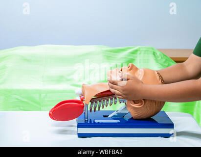 Hand Training mit Kopf medical Dummy auf die HLW, im Notfall Refresher zur Unterstützung des Arztes Stockfoto