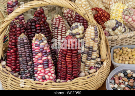 Indischen Mais im Korb auf einem Markt Stockfoto