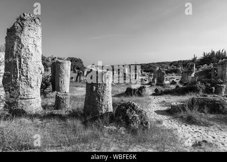 Pobiti Kamani (Steine), die auch als Steinwüste bekannt, ist eine Wüste - wie rock Phänomen auf der North West Provinz Varna Bulgarien entfernt. Stockfoto