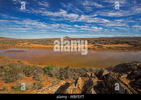 Outback Landschaft, steinigen Boden in Saltbush & Hügel jenseits seichten Wasser von Creek abgedeckt in den blauen Himmel steigen, Flinders Ranges Region South Australia Stockfoto