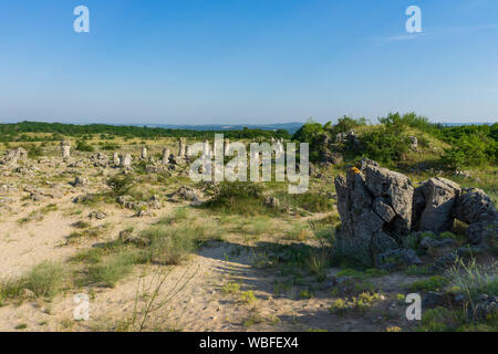 Pobiti Kamani (Steine), die auch als Steinwüste bekannt, ist eine Wüste - wie rock Phänomen auf der North West Provinz Varna Bulgarien entfernt. Stockfoto