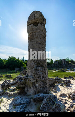 Pobiti Kamani (Steine), die auch als Steinwüste bekannt, ist eine Wüste - wie rock Phänomen auf der North West Provinz Varna Bulgarien entfernt. Stockfoto