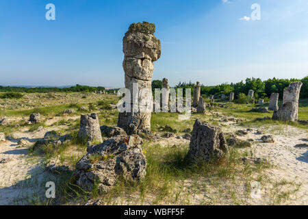 Pobiti Kamani (Steine), die auch als Steinwüste bekannt, ist eine Wüste - wie rock Phänomen auf der North West Provinz Varna Bulgarien entfernt. Stockfoto