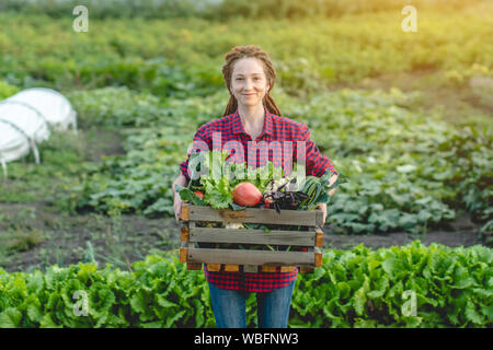 Eine junge Frau Bauer Agronom hält eine Schachtel mit frischem Gemüse und grünen Salat im Garten. Organische Rohstoffe auf einem Home Bauernhof Stockfoto