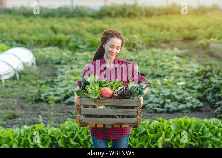 Eine junge Frau Bauer Agronom hält eine Schachtel mit frischem Gemüse und grünen Salat im Garten. Organische Rohstoffe auf einem Home Bauernhof Stockfoto