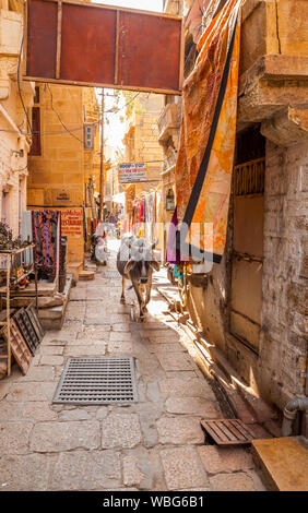 Eine Kuh zu Fuß in einer engen Straße in Jaisalmer Fort, Jaisalmer, Rajasthan, Indien. Stockfoto