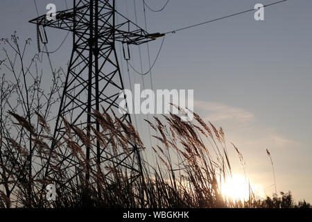 Silhouette der hohen Spannung Turm mit elektrischen Leitungen auf Sonnenuntergang Hintergrund, Blick durch das Gras. Power Line Support auf einem Feld mit einer untergehenden Sonne Stockfoto