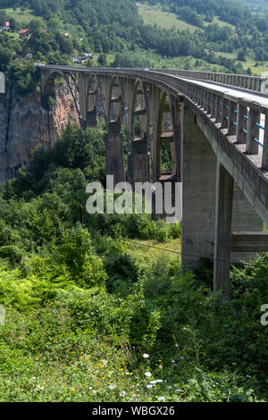 Djurdjevica Tara Brücke (im Jahre 1940 eröffnete, 172 Meter oberhalb des Flusses Tara) Summer View, Montenegro. Personen unkenntlich. Stockfoto