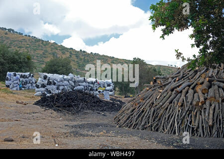 Holz Kohle Ertrag Stockfoto