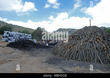 Holz Kohle Ertrag Stockfoto