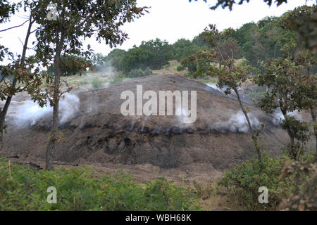 Holz Kohle Ertrag Stockfoto