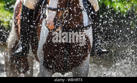 Freeze Frame Wassertropfen wie Pferde, Ponys und Reiter splash durch seichten Fluss Kreuzung an Equestrian Event in West Linton, Scottish Borders. Stockfoto