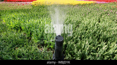 Garten Bewässerungssysteme Stockfoto