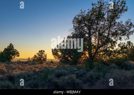 Sonnenaufgang über Lava Beds National Monument Stockfoto