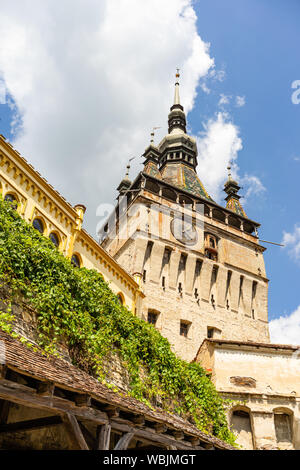 Treppen, die bis zu der Clock Tower (Turnul cu Ceas) in Sighisoara Zitadelle. Stockfoto