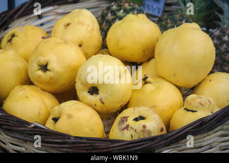 Frische organische gelb Quitte. Quitte Obst Hintergrund Textur. Stockfoto