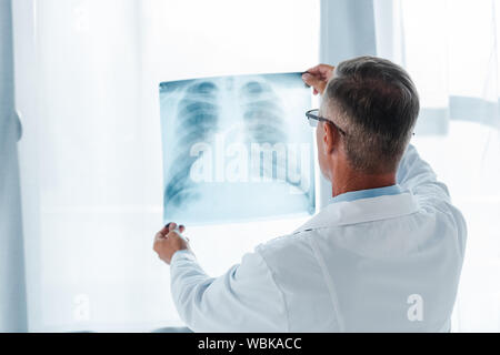 Rückansicht des Arzt im weißen Kittel Holding x-ray im Krankenhaus Stockfoto