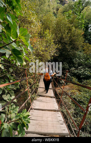 Blick auf eine Frau mit einem Leder Rucksack überqueren eine Hängebrücke in den Wald. Stockfoto