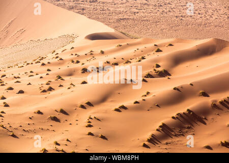 Schöne Muster von der Natur geformt, Wüste Namib, Namibia Stockfoto