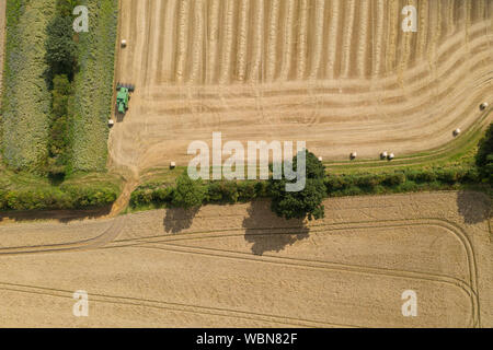 Luftaufnahme über einen grünen Mähdrescher in einem Bauernhof Feld Stockfoto