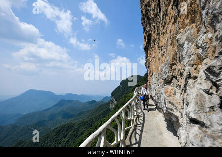 Chongqing. 20 Aug, 2019. Eine touristische Wanderungen auf einem Plank Road entlang der steilen Klippe in der Jinfo (Goldener Buddha) Berg malerischen Ort im Südwesten Chinas Chongqing, Aug 20, 2019 gebaut. Credit: Liu Chan/Xinhua/Alamy leben Nachrichten Stockfoto