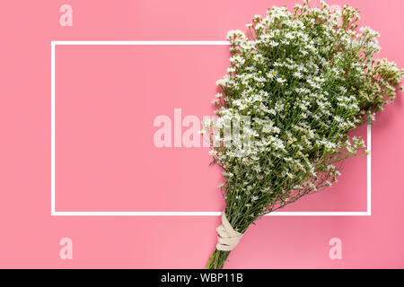 Kreative von minimalen Frühling frische weiße Blumenstrauß auf rosa Hintergrund mit weißen Rahmen Rahmen und kopieren Raum isoliert für Text auf der Grußkarte oder Stockfoto