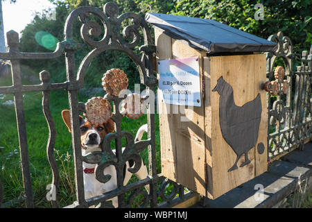 Frische, Eier, für, Verkauf,,, Straßenrand, Ehrlichkeit, Box, System, in, Borth, Dorf, Ceredigion, Urlaub, Meer, Resort, West, Wales, Mitte, Wales, Welsh, UK, GB, Großbritannien, Br Stockfoto