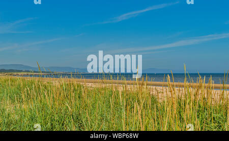 DORNOCH SUTHERLAND SCHOTTLAND MEER oder MARRAM GRAS Ammophila AUF DEM SAND DORNOCH STRAND AN EINEM TAG IM SOMMER Stockfoto