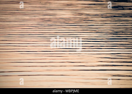 Reflexionen von Loch Lomond an einem Sommerabend. Kredit: Colin Fisher/Alamy Live News. Stockfoto