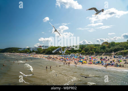 Massentourismus am Ostsee Strand von Misdroy/Miedzyzdroje, Insel Wolin, Westpommern, Polen, Europa | Massentourismus an der Ostsee Strand in Miedzyzd Stockfoto
