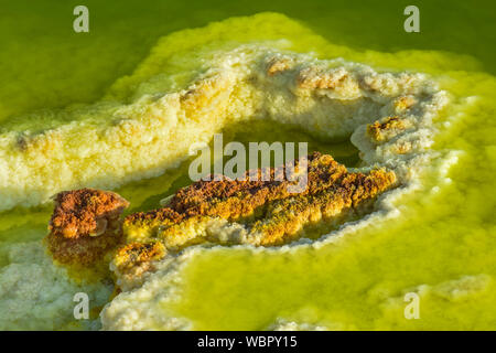 Schwefelablagerungen im sauren Sole-pool, geothermische Feld von Dallol, Danakil Depression, Afar Dreieck, Äthiopien Stockfoto