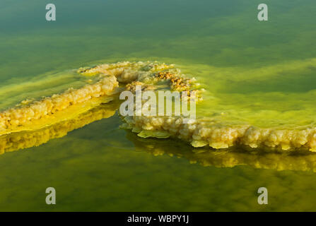 Schwefelablagerungen im sauren Sole-pool, geothermische Feld von Dallol, Danakil Depression, Afar Dreieck, Äthiopien Stockfoto