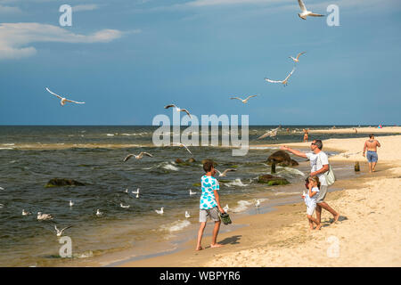 Touristen füttern die Möwen am Ostsee Strand von Misdroy/Miedzyzdroje, Insel Wolin, Westpommern, Polen, Europa | Touristen füttern die Möwen an Stockfoto