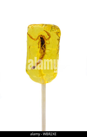 Lollipop mit einem echten Skorpion im Inneren, auf weißem Hintergrund. Stockfoto