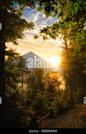 Blick von einem Wald über den Thunersee zu den Sonnenuntergang im Simmental; Niesen Berg auf der linken Seite Stockfoto