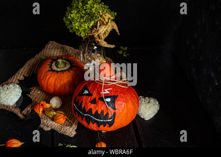 Chinesische Rose, rosa Blüten auf einem dunklen Hintergrund. Wassertropfen Stockfoto