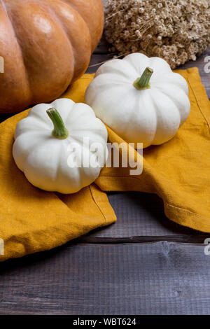 Dekor weiß Kürbisse auf orange Serviette mit großen Kürbis Stockfoto