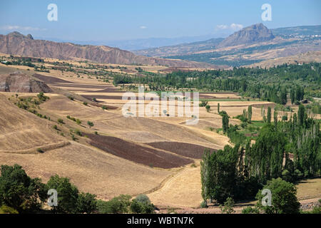 Die unterschiedlichen Farben der Kulturen zu unterschiedlichen Zeiten gepflanzt bieten wunderschöne Bilder in der landwirtschaftlichen Flächen. Stockfoto