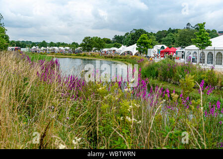 RHS Hyde Hall flower show, mit der Vielzahl von Markisen. Stockfoto