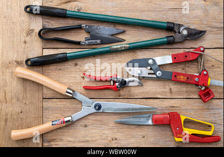 Auswahl an Garten Beschneidung tools. Stockfoto