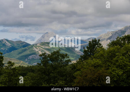 Palencia Ährchen im Berg von Palencia. Spanien Stockfoto