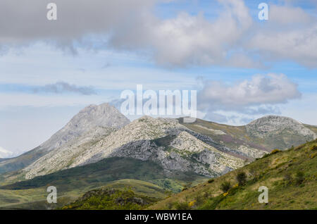 Palencia Ährchen im Berg von Palencia. Spanien Stockfoto