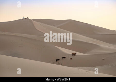 Khongoryn Els auch Duut Mankhan ist im Volksmund als die "singende Sands" bekannt. Die Dünen erstrecken sich auf über 965 Quadratkilometer Fläche und steigende Stockfoto