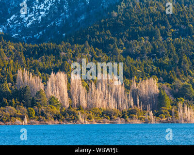 Villa Meliquina, Provinz Neuquen, Patagonien. Wälder, schneebedeckte Berge und reinen blauen Himmel traumhafte Landschaften im südlichen Argentinien. Stockfoto