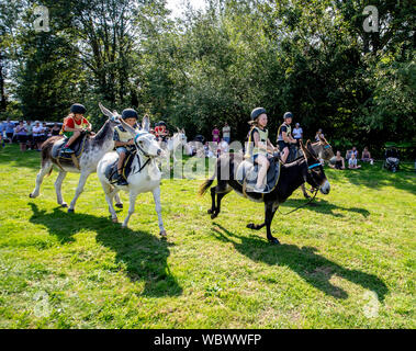 Esel Derby in Bampton, Oxfordshire auf einen öffentlichen Feiertag, 2019 Stockfoto