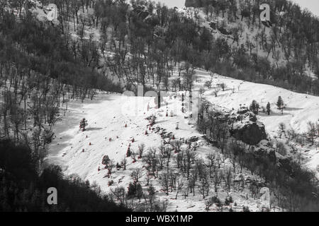 Villa Meliquina, Provinz Neuquen, Patagonien. Wälder, schneebedeckte Berge und reinen blauen Himmel traumhafte Landschaften im südlichen Argentinien. Stockfoto